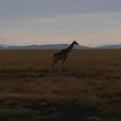 Voyage au Kenya de la Famille de Magali