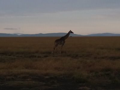 Voyage au Kenya de la Famille de Magali