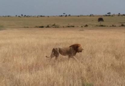 Voyage au Kenya de la Famille de Magali