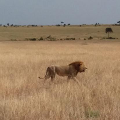 Voyage au Kenya de la Famille de Magali