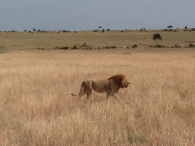 Voyage au Kenya de la Famille de Magali