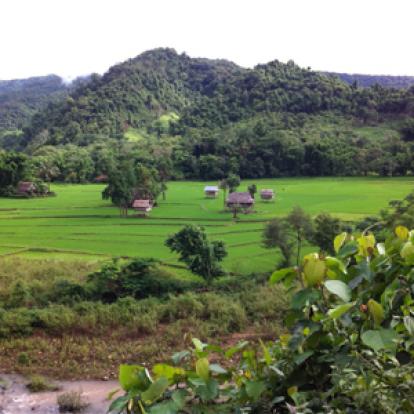 Voyage au laos de Corinne