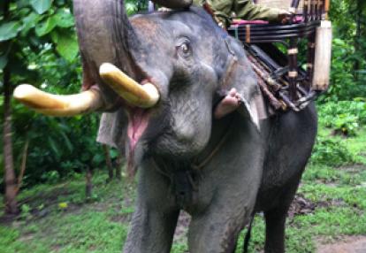 Voyage au laos de Corinne