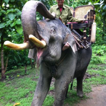 ©Corinne M. - Tous Droits Réservés Voyage au laos de Corinne