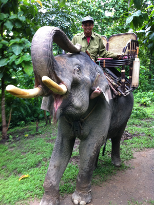 ©Corinne M. - Tous Droits réservés Voyage au laos de Corinne