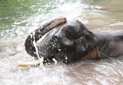 Voyage au Laos de Béatrice
