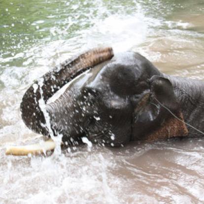 ©Béatrice R. - Tous Droits Réservés Voyage au Laos de Béatrice