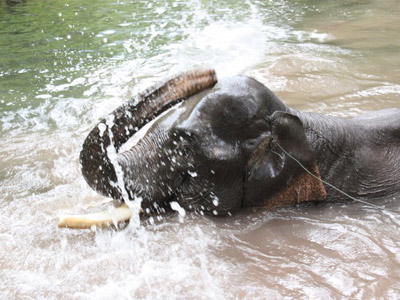 ©Béatrice R. - Tous Droits réservés Voyage au Laos de Béatrice