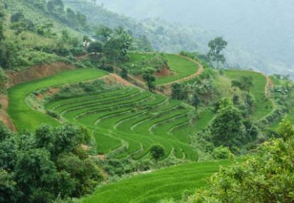 Voyage au Laos de Laurent