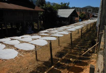 Voyage au Laos de la Famille de Christine