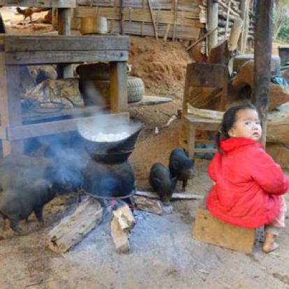 Voyage au Laos de la Famille de Michel