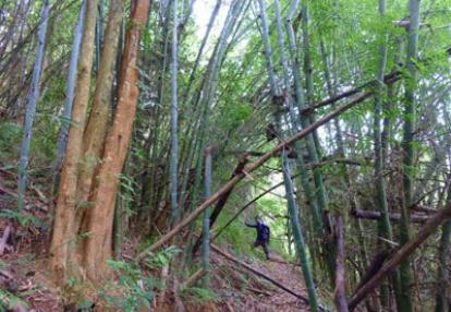 Voyage au Laos de la Famille de Michel