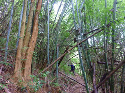 Voyage au Laos de la Famille de Michel
