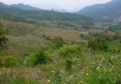 Voyage au Laos de la Famille de Michel