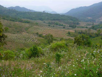 Voyage au Laos de la Famille de Michel