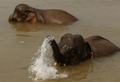 Voyage au Laos et Thaïlande de Roger et Annick