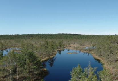 Voyage dans les Pays Baltes d'Eugène