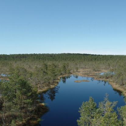Voyage dans les Pays Baltes d'Eugène