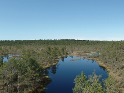 Voyage dans les Pays Baltes d'Eugène