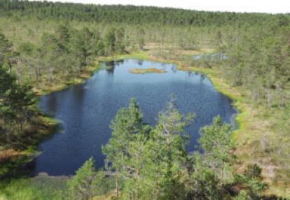 Voyage dans les Pays Baltes de Françoise 