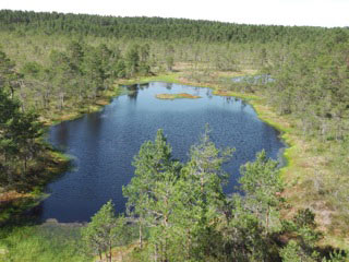 Voyage dans les Pays Baltes de Françoise 