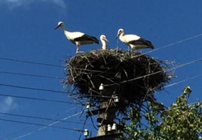 Voyage dans les Pays Baltes de Françoise 