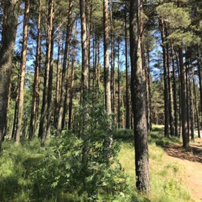 Voyage dans les Pays Baltes - Témoignage de Laurence