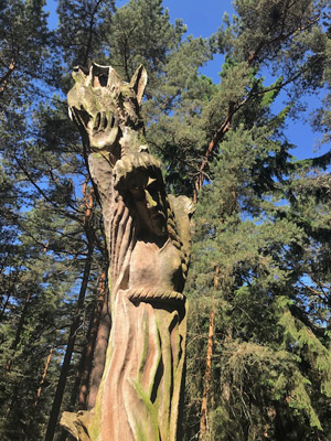 Voyage dans les Pays Baltes - Témoignage de Laurence