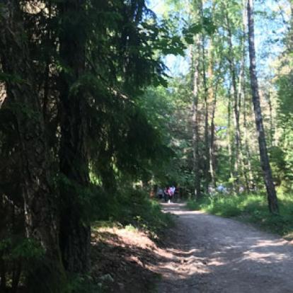 Voyage dans les Pays Baltes - Témoignage de Laurence