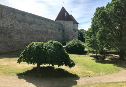 Voyage dans les Pays Baltes - Témoignage de Laurence