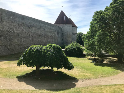 Voyage dans les Pays Baltes - Témoignage de Laurence