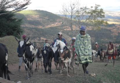 Voyage à Madagascar de Martine