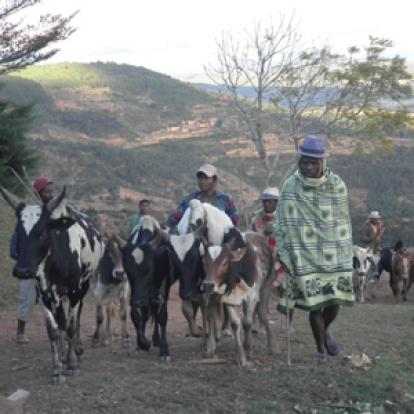 Voyage à Madagascar de Martine