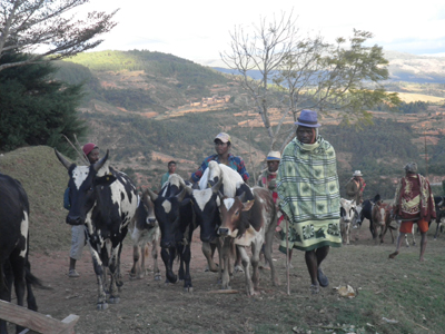 Voyage à Madagascar de Martine