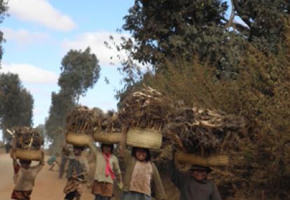 Voyage à Madagascar de Martine