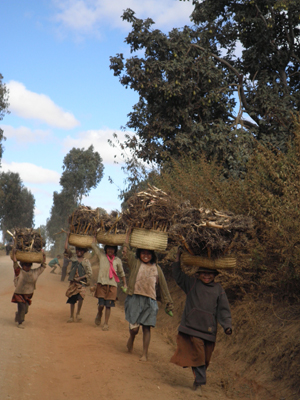 Voyage à Madagascar de Martine