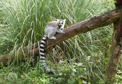 Voyage à Madagascar : Avis de Sylvie
