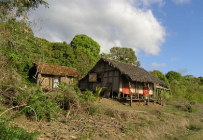 ©Sylvie M. - Tous Droits réservés Voyage à Madagascar : Avis de Sylvie