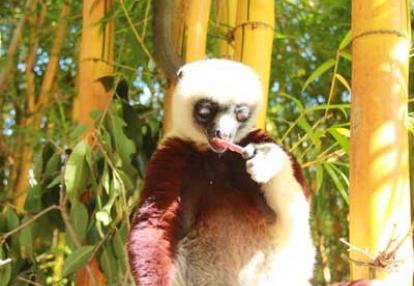 Voyage à Madagascar d'Agnès &amp; Thierry