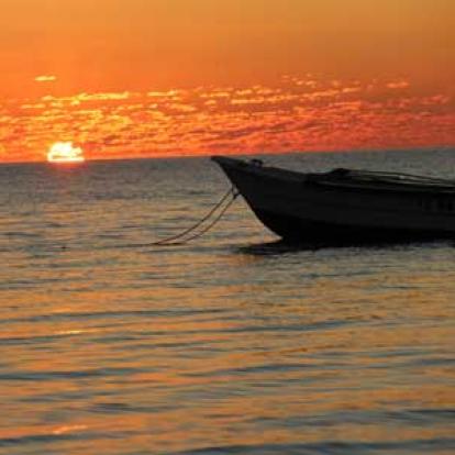 ©Thierry B. - Tous Droits Réservés Voyage à Madagascar d'Agnès & Thierry