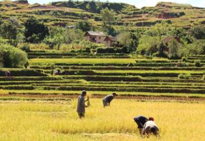 Voyage à Madagascar d'Agnès &amp; Thierry