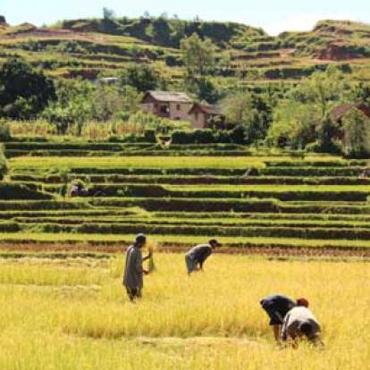 ©Thierry B. - Tous Droits Réservés Voyage à Madagascar d'Agnès & Thierry