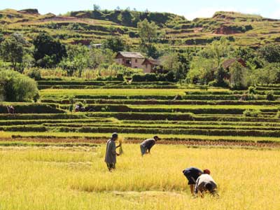 ©Thierry B. - Tous Droits réservés Voyage à Madagascar d'Agnès & Thierry