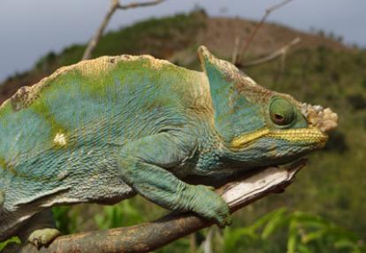 Voyage à Madagascar : Avis de Guy