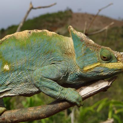 Voyage à Madagascar : Avis de Guy