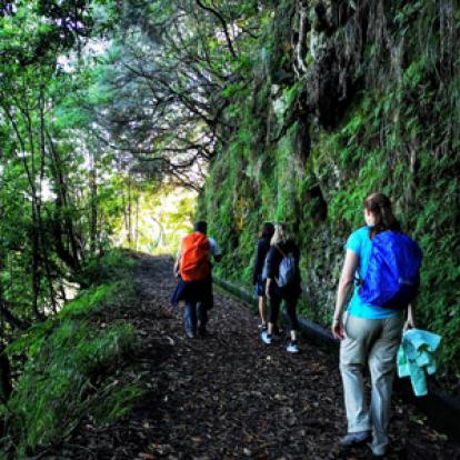 ©Robin G. - Tous Droits Réservés Voyage à Madère de Robin et Giselle