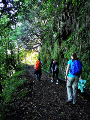 ©Robin G. - Tous Droits réservés Voyage à Madère de Robin et Giselle