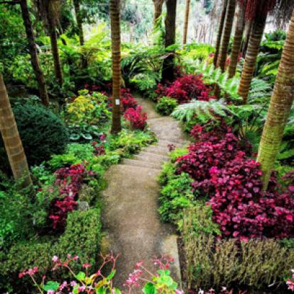 ©Robin G. - Tous Droits Réservés Voyage à Madère de Robin et Giselle