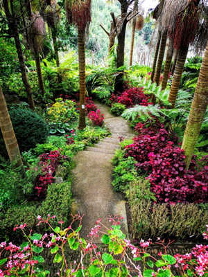 ©Robin G. - Tous Droits réservés Voyage à Madère de Robin et Giselle