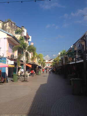 Voyage à Bornéo de la Famille de Martine